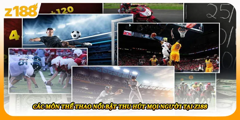 Các môn thể thao nổi bật thu hút mọi người tại Z188