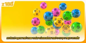 Nuôi Lô Bạch Thủ Z188 Toàn Cảnh Hình Thức Cược Trực Tuyến